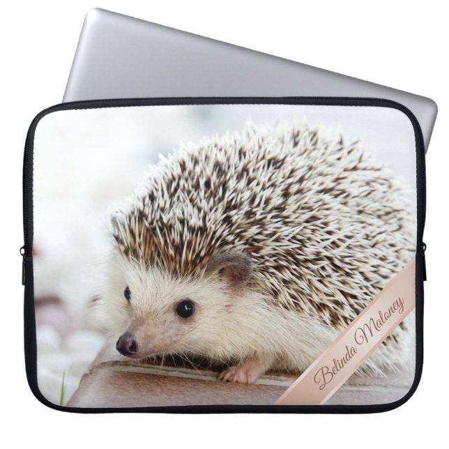 Cute Hedgehog Laptop Sleeve (Front)