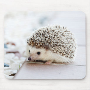 Cute Hedgehog Mouse Pad
