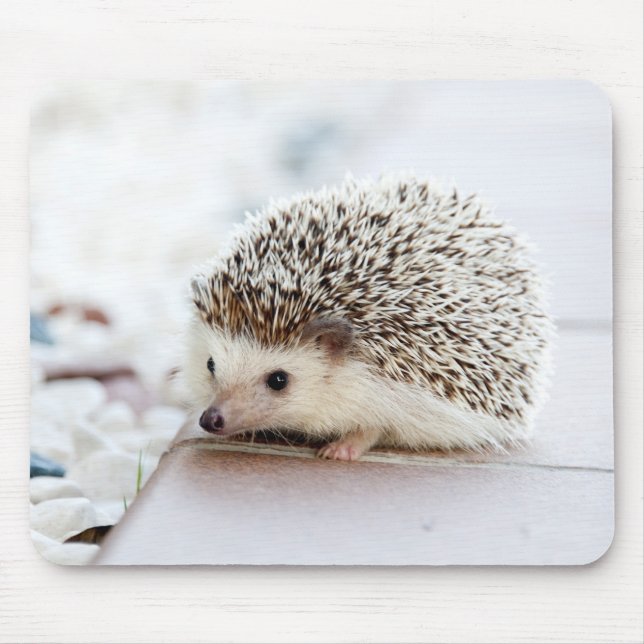 Cute Hedgehog Mouse Pad (Front)