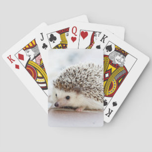 Cute Hedgehog Playing Cards