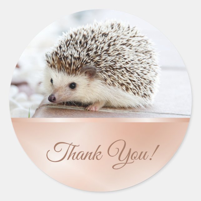 Cute Hedgehog Rose Gold Classic Round Sticker (Front)