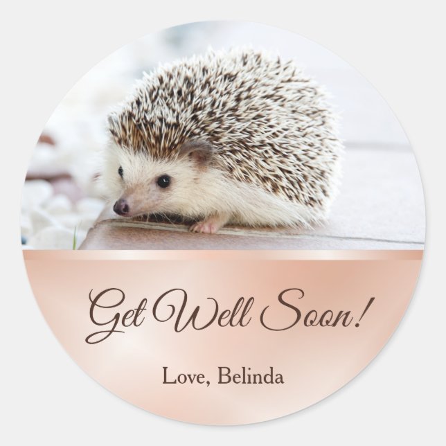 Cute Hedgehog Rose Gold Get Well  Classic Round Sticker (Front)