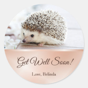 Cute Hedgehog Rose Gold Get Well  Classic Round Sticker