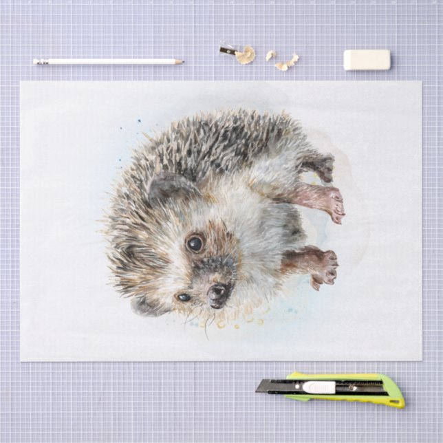 Cute Hedgehog Tissue Paper (Craft)