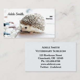 Cute Hedgehog Veterinarian Standard Business Card