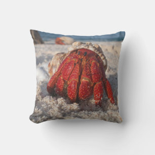 Cute Hermit Crab on White Sandy Beach Closeup Throw Pillow