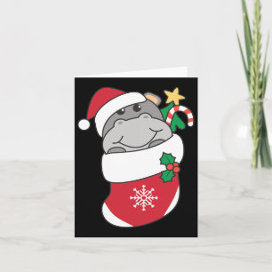 Cute Hippos In Christmas Stockings For Christmas Card
