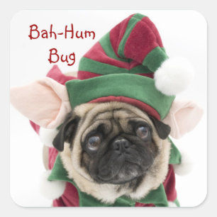 Cute Holiday Pug Stickers