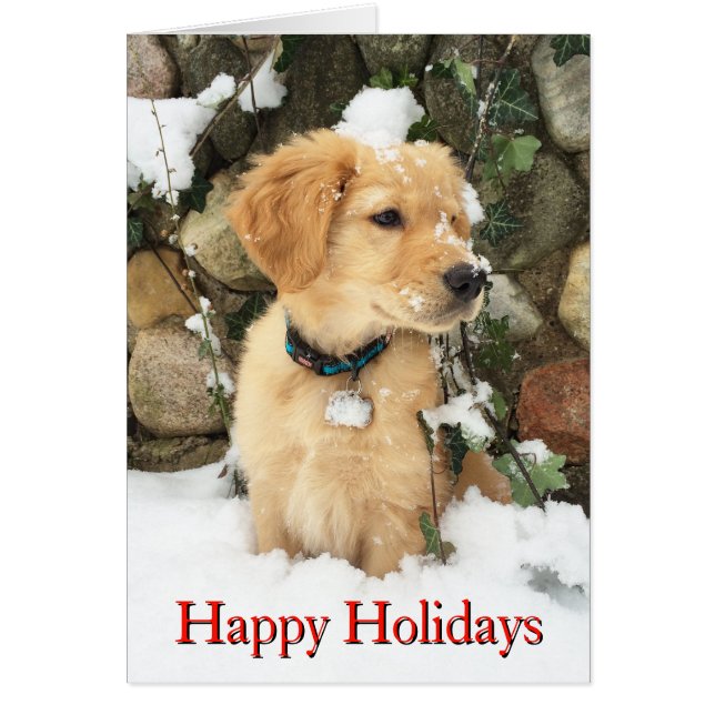 Cute Holiday Puppy laboratoire extracteur (Devant)