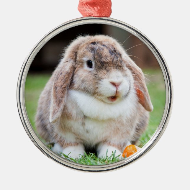 Cute Holland Lop Dwarf Bunny Rabbit Metal Ornament (Front)