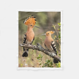 Cute Hoopoe Bird Pair Nature Fleece Baby Blanket