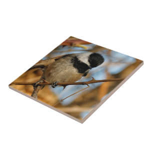 Cute Hopeful Black-Capped Chickadee Songbird Tile