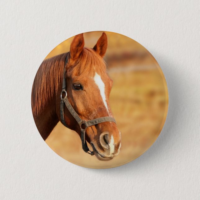 CUTE HORSE 2 INCH ROUND BUTTON (Front)