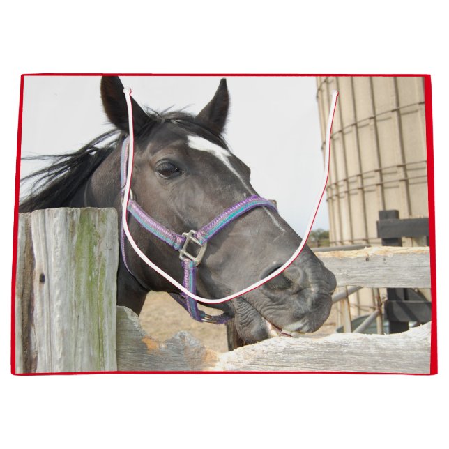 Cute Horse Chewing on a Fence Post Large Gift Bag (Front)