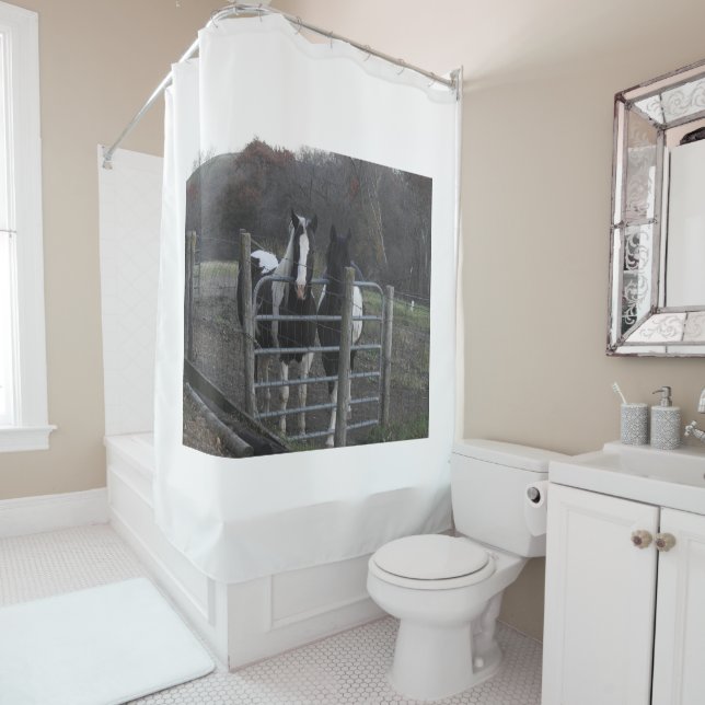 Cute Horse Photo, Leave this picture or Change (In Situ)