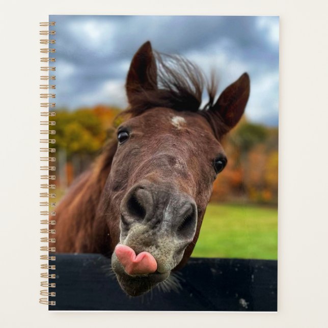 Cute horse planner (Front)
