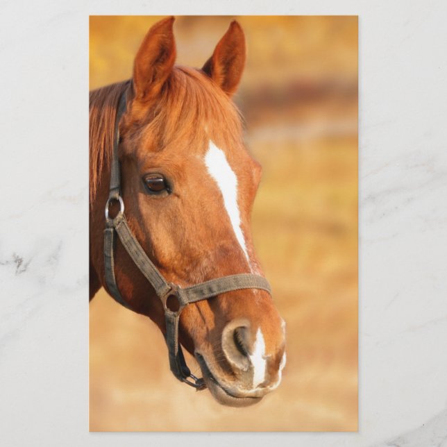 CUTE HORSE STATIONERY (Front)