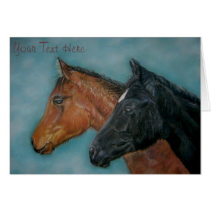 cute horses black foal chestnut foal horse