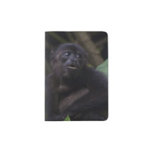 Cute Howler Monkey