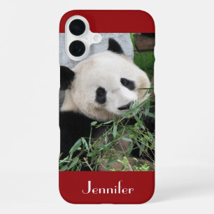 Cute Huggable Giant Panda, Dark Red, Name iPhone 16 Plus Case