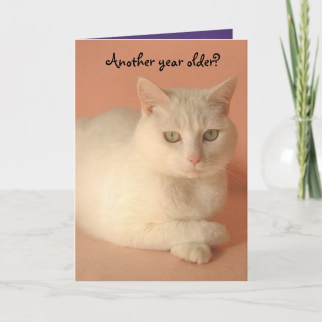 Cute, Humourous Female Birthday Card (Front)