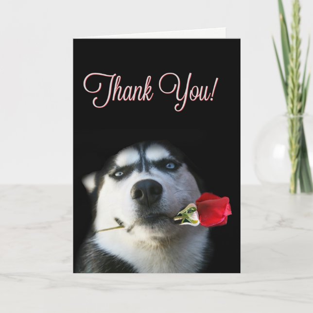 Cute Husky and Rose Thank You Card (Front)