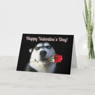 Cute Husky Rose Valentine's Day Card