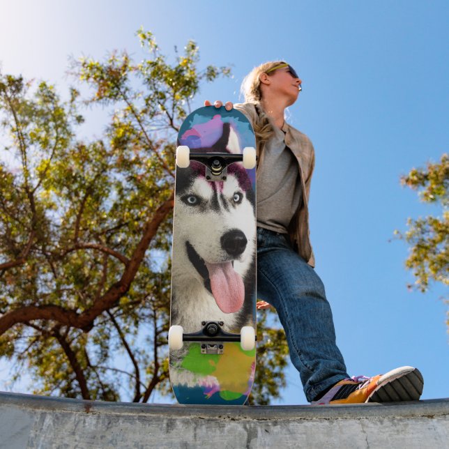 Cute Husky.  Skateboard (Outdoor 1)