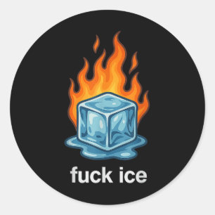 Cute Ice Cube On Fire For Ice Protest Deportation Classic Round Sticker