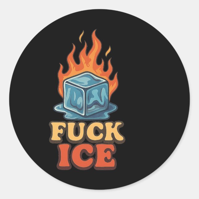 Cute Ice Cube On Fire Ice Protest Deportation  Classic Round Sticker (Front)