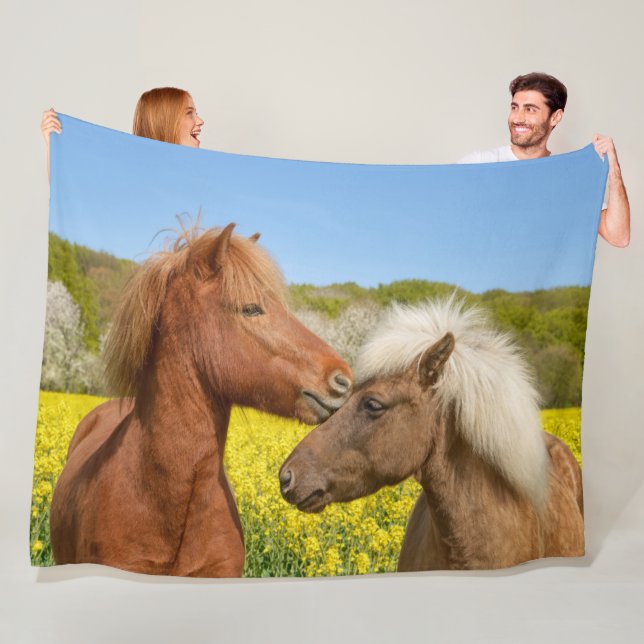 Cute Icelandic Horses Cuddle in a Spring Meadow - Fleece Blanket (In Situ)