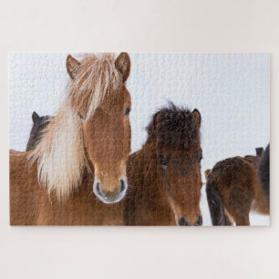 Cute Icelandic Horses Together Jigsaw Puzzle