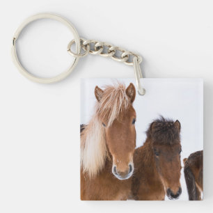 Cute Icelandic Horses Together Keychain