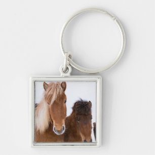 Cute Icelandic Horses Together Keychain