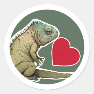 Cute Iguana  Classic Round Sticker