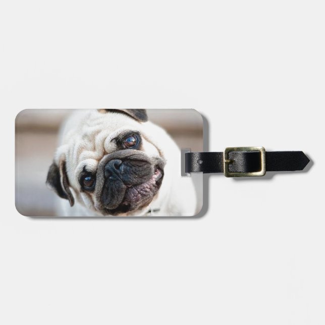 Cute Inquisitive Pug Design Luggage Tag (Front Horizontal)