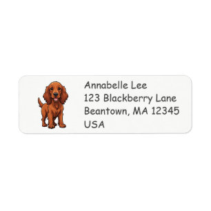 Cute Irish Setter