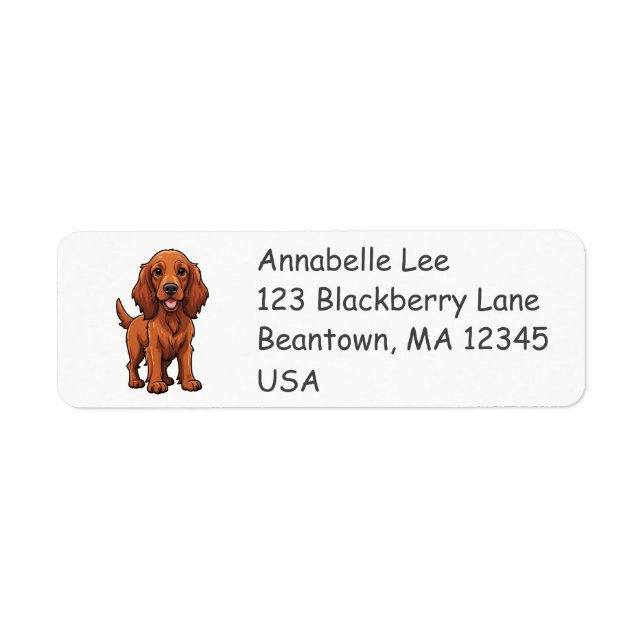 Cute Irish Setter (Front)