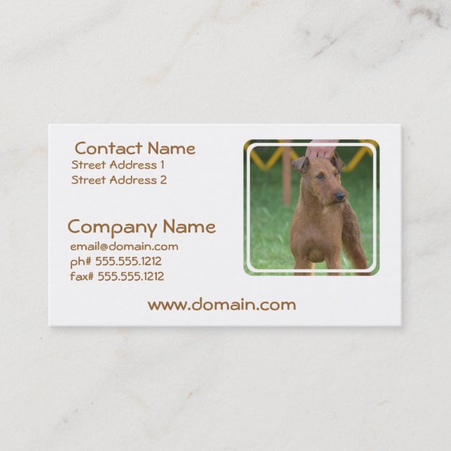 Cute Irish Terrier Business Card (Front)