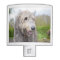 Cute Irish Wolfhound
