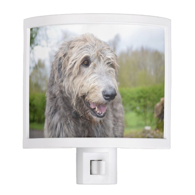 Cute Irish Wolfhound Night Lites (Front)