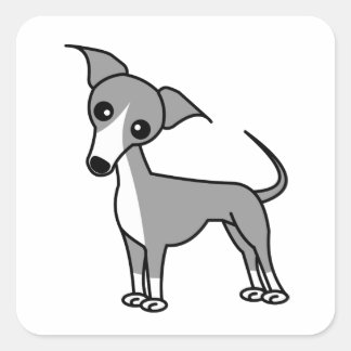 Cute Italian Greyhound - Grey Square Sticker