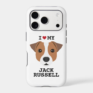 Cute Jack Russell Chien