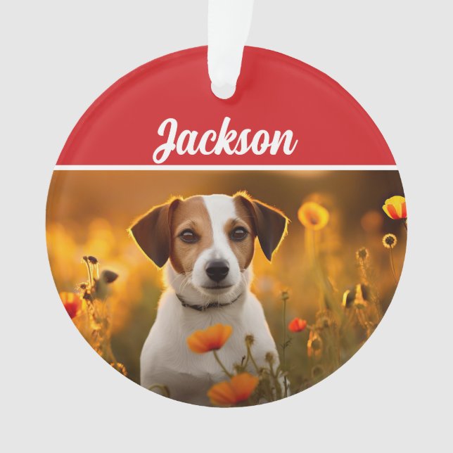 Cute Jack Russell Chien Fête de Noël Photo (devant)