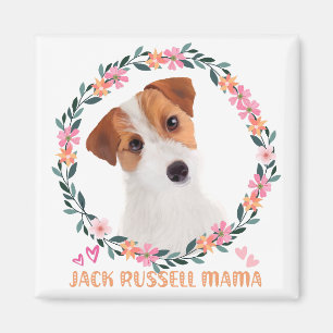 Cute Jack Russell Terrier - Jack Russell Mama Magnet