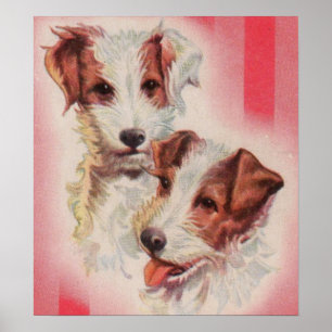 CUTE Jack Russell terriers illustration Poster