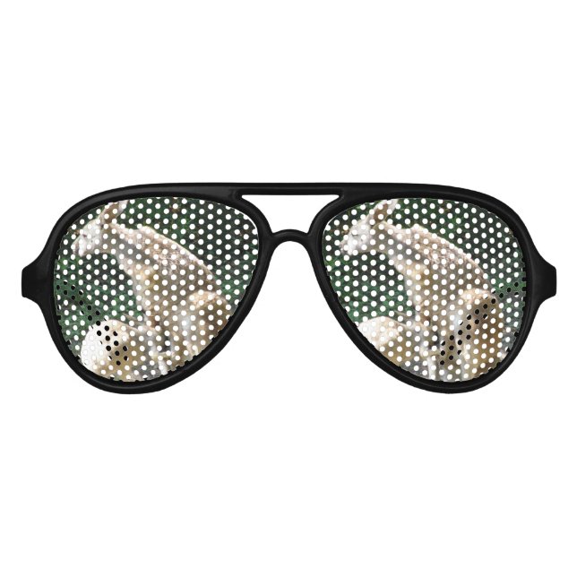 Cute Kangaroo Aviator Sunglasses (Front)