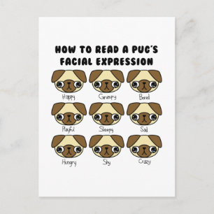 Cute Kawaii Cartoon Pug Funny Postcard