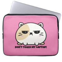 Cute Kawaii Chubby Angry Mochi Cat