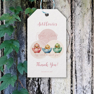 Cute Kawaii Egg Birds Pastel Coloured Baby Shower Gift Tags